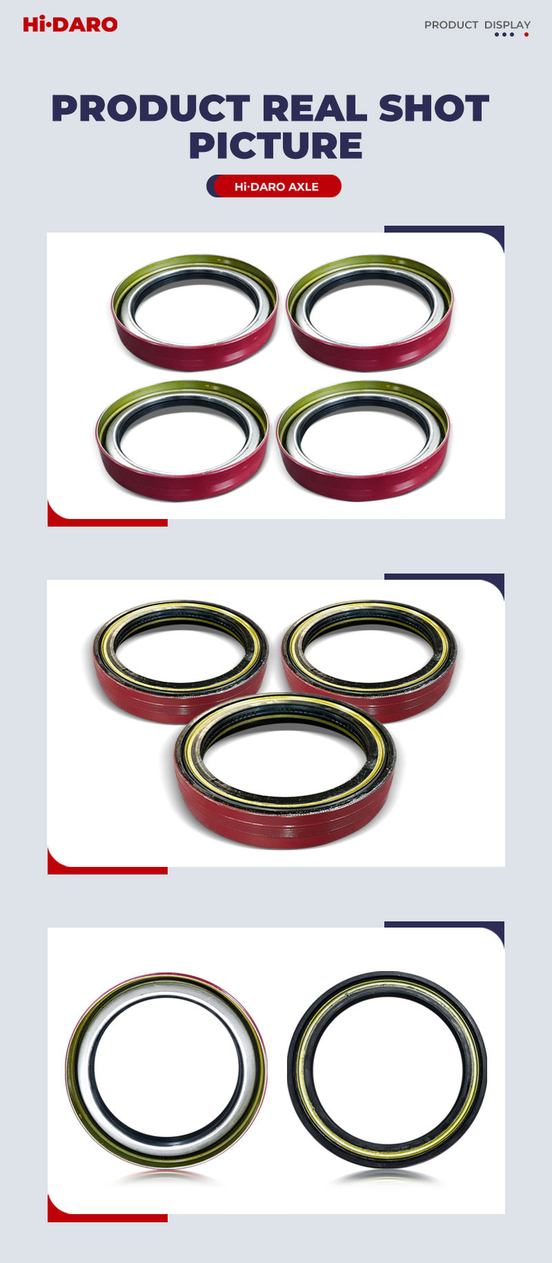 Oil Seal